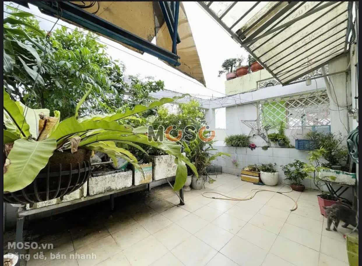 Bán nhà hẻm 256/6 Dương Quảng Hàm Quận Gò Vấp, TP.HCM – 11 phòng ngủ, giá 16 tỷ - ảnh 8
