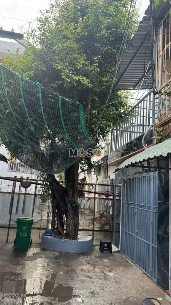 Cho thuê nhà hẻm Thị xã Bến Cát, Ho Chi Minh – 3 phòng ngủ, giá 8 triệu - ảnh 2