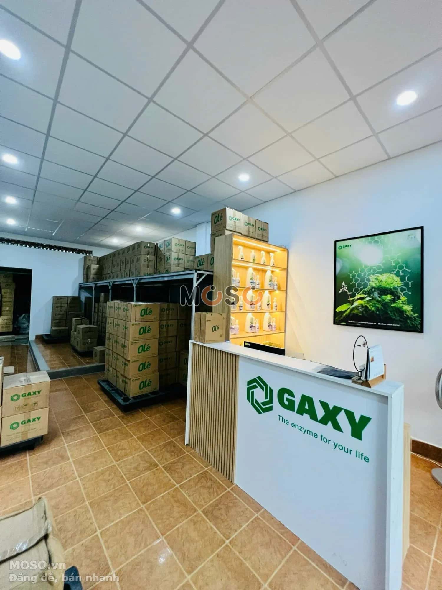 Bán nhà hẻm J20 Cư Xá Phú Lâm B Quận 6, TP.HCM – 4 phòng ngủ, giá 11.2 tỷ - ảnh 5