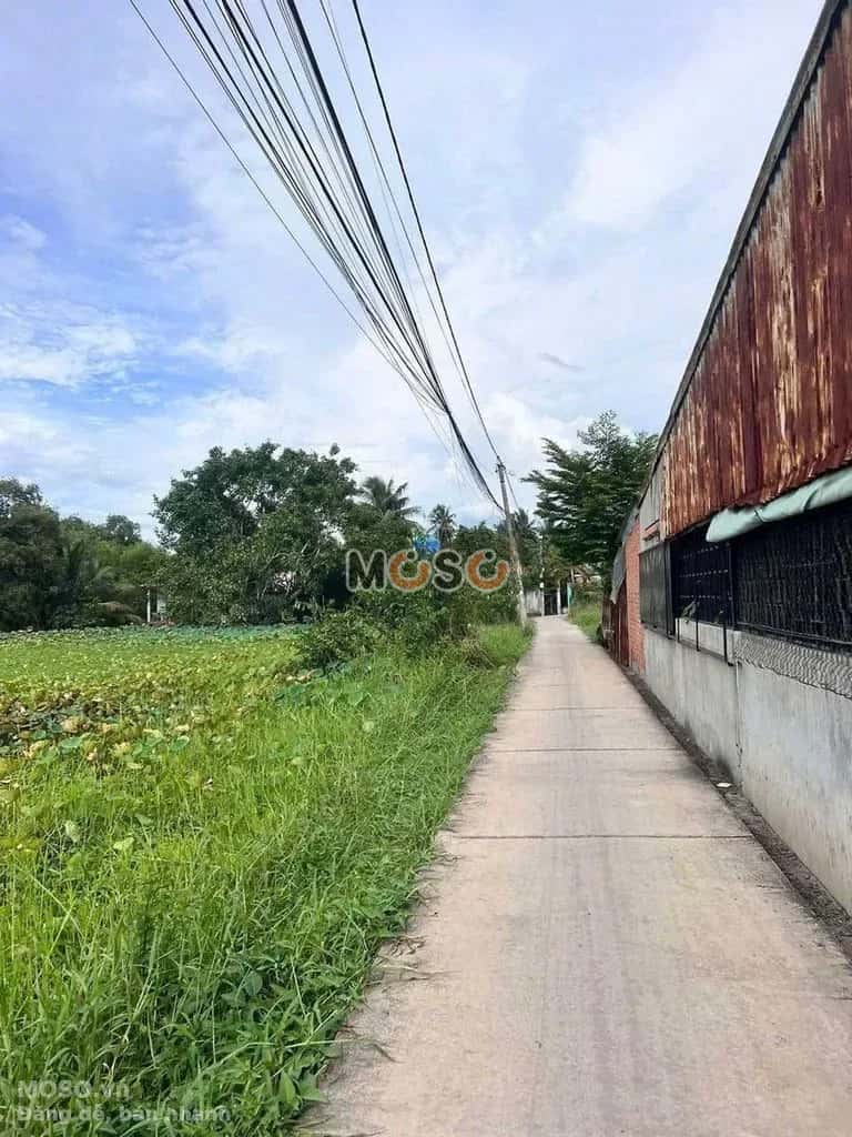 Bán nhà hẻm D14/10 Nguyễn Cửu Phú Huyện Bình Chánh, TP.HCM – 2 phòng ngủ, giá 4.2 tỷ - ảnh 8