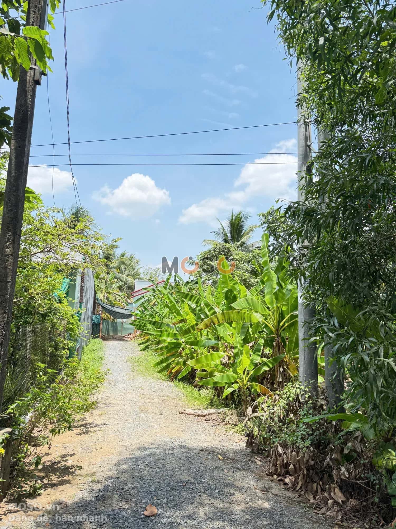 Bán đất Cái Chanh  Huyện Châu Thành, Hậu Giang – giá 11.5 tỷ - ảnh 4