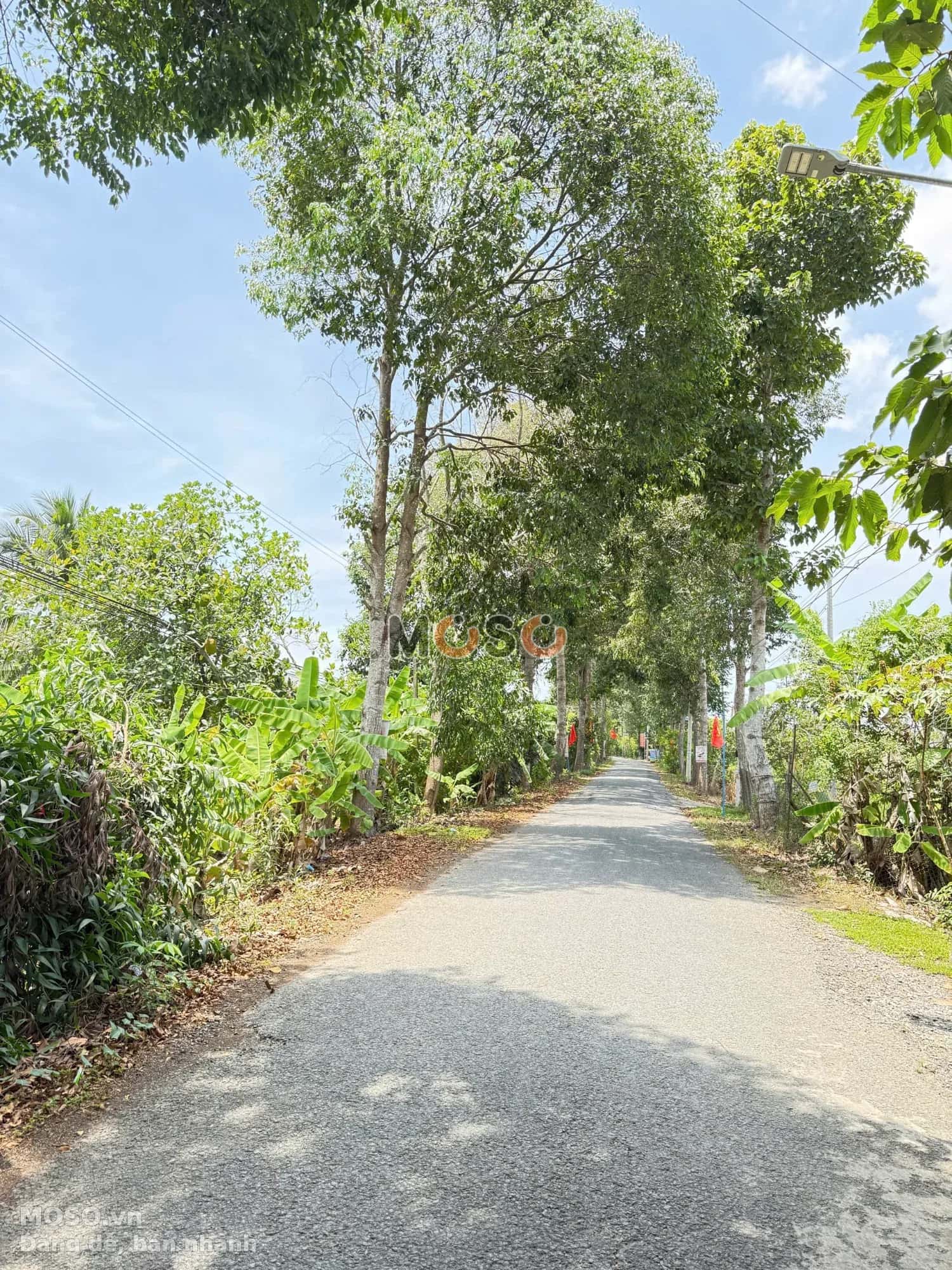 Bán đất Cái Chanh  Huyện Châu Thành, Hậu Giang – giá 11.5 tỷ - ảnh 2