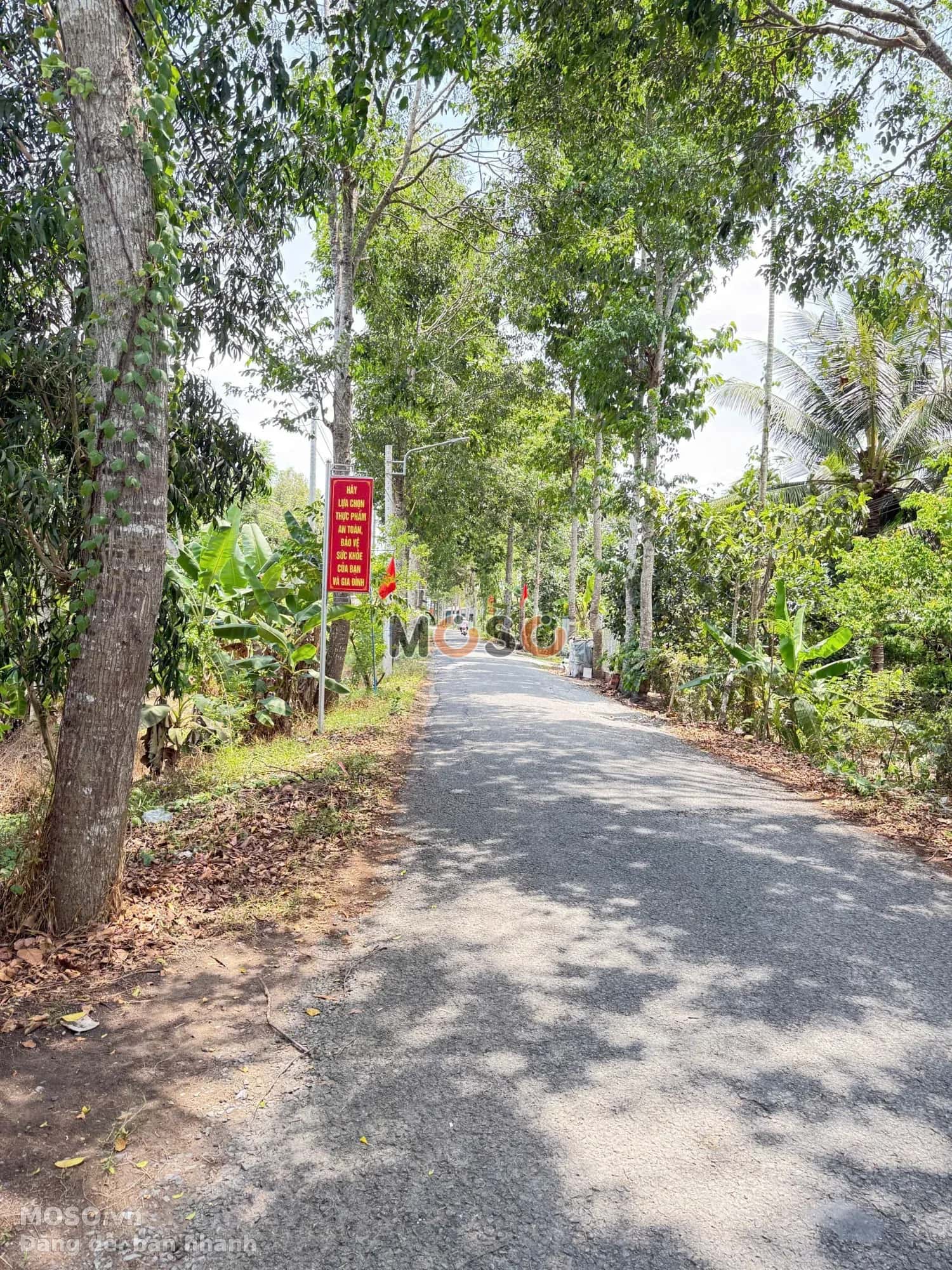 Bán đất Cái Chanh  Huyện Châu Thành, Hậu Giang – giá 11.5 tỷ - ảnh 5