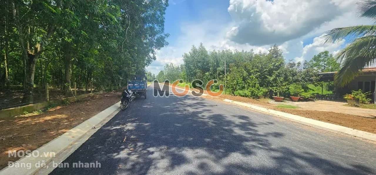 Bán đất đường DH614 Huyện Bàu Bàng, Bình Dương – giá 3.1 tỷ - ảnh 1