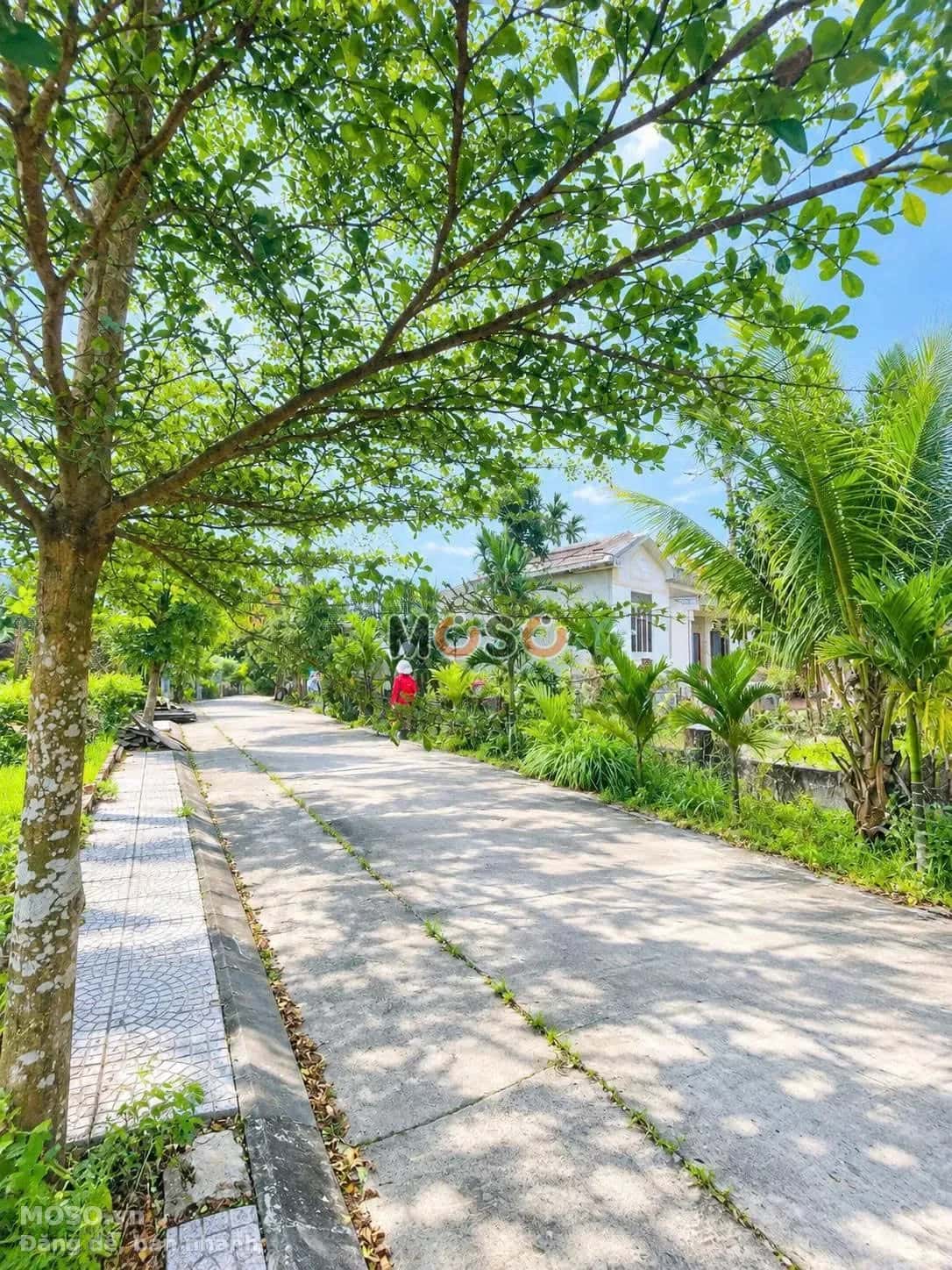Bán đất Khối phố Phong Nhất Thị xã Điện Bàn, Quảng Nam – giá 855 triệu - ảnh 3