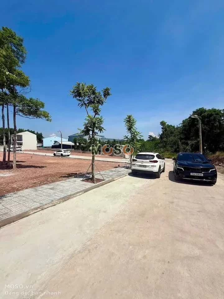 Bán đất Kiệt Hoài Thanh Quận Thuận Hóa, TP. Huế – giá 1.6 tỷ - ảnh 3