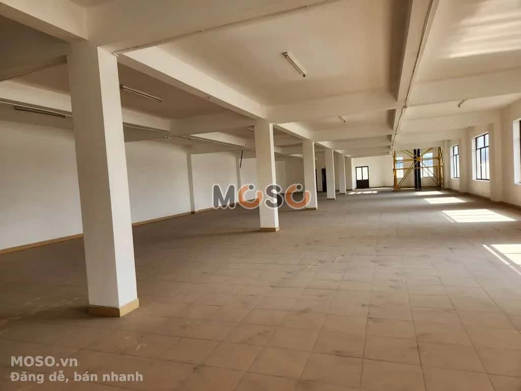 Cho thuê BĐS khác Đường A Quận 2 cũ, TP.HCM – giá 186 triệu - ảnh 3