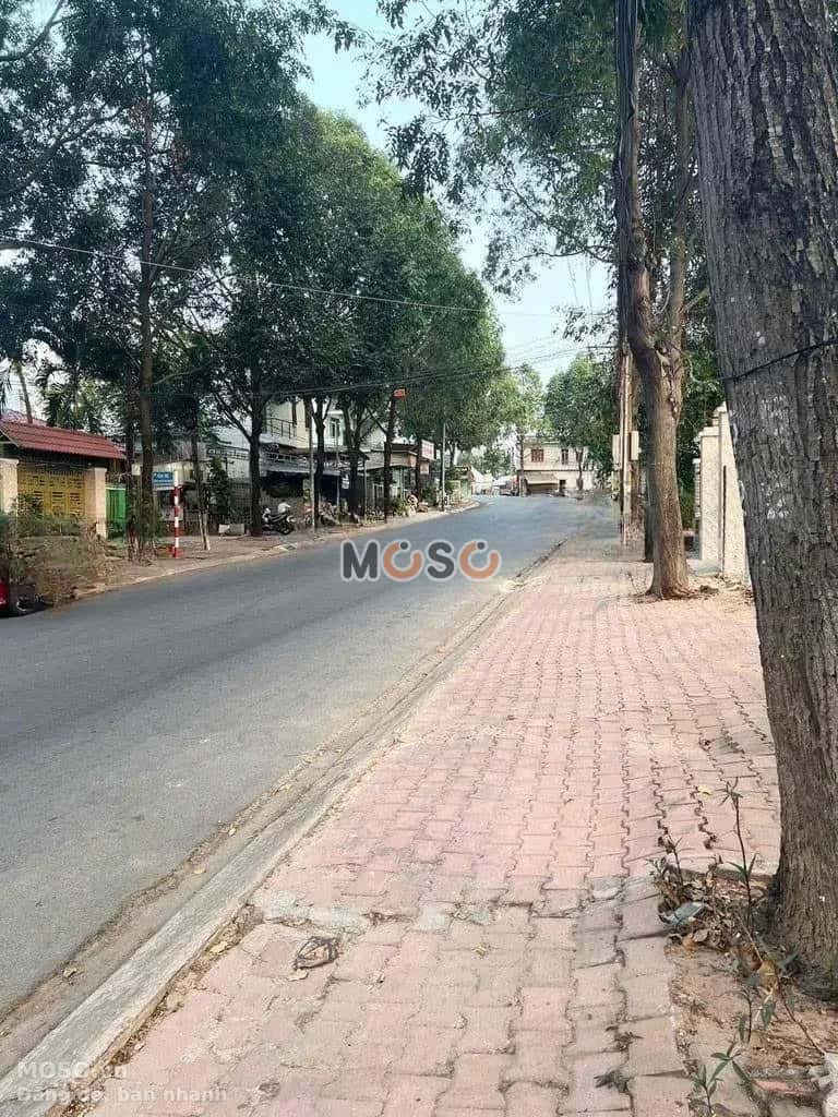 Bán đất Thửa số 460 - tờ 64 đường Nguyễn Tri Phương Thành phố Thủ Dầu Một, Bình Dương – giá 19.5 tỷ - ảnh 3