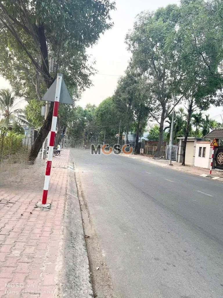 Bán đất Thửa số 460 - tờ 64 đường Nguyễn Tri Phương Thành phố Thủ Dầu Một, Bình Dương – giá 19.5 tỷ - ảnh 2