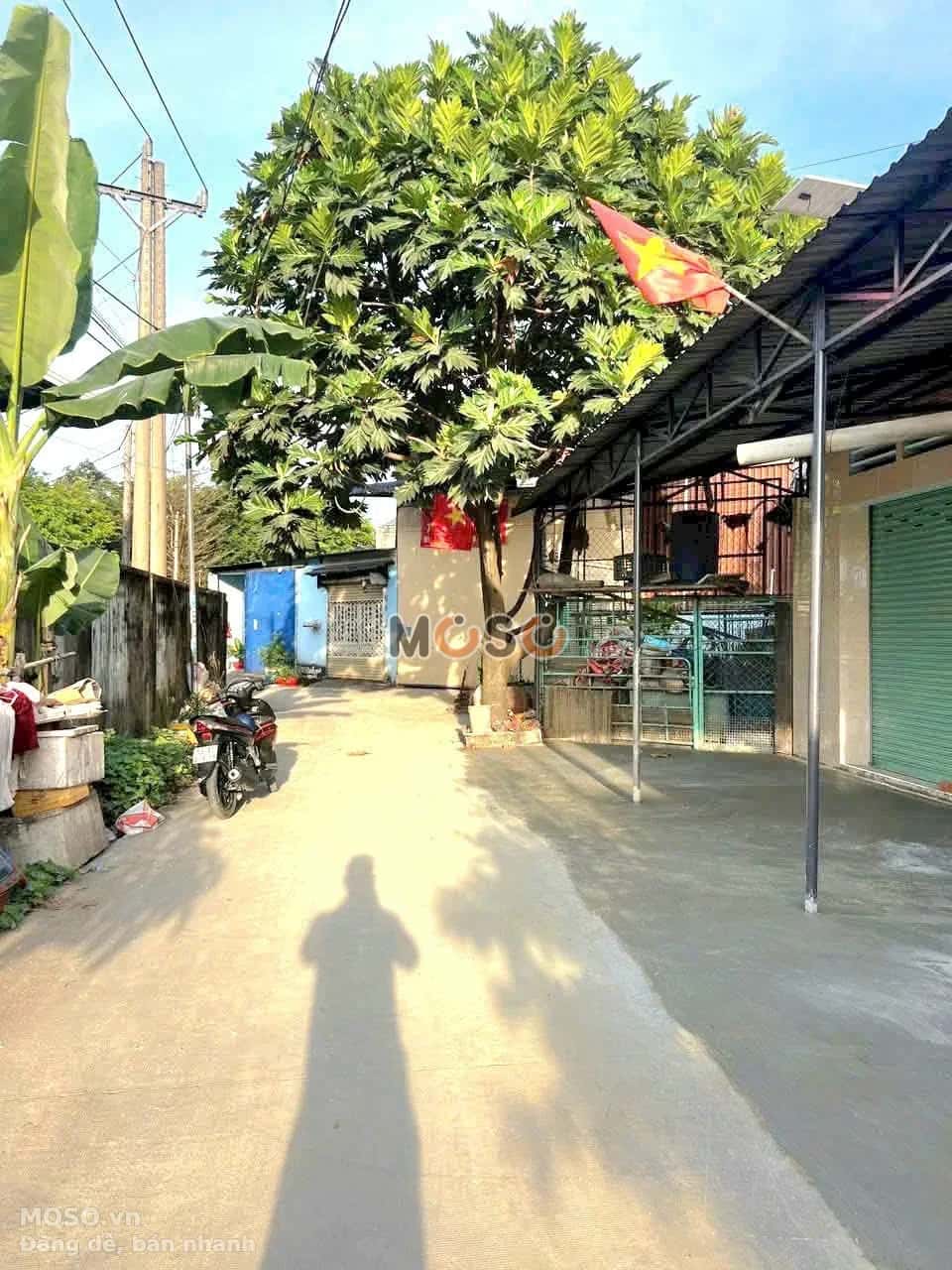 Bán nhà hẻm Thửa 9003 - Tờ 2, khu phố Bình Qưới A Thành phố Thuận An, Bình Dương – 19 phòng ngủ, giá 5.5 tỷ - ảnh 5