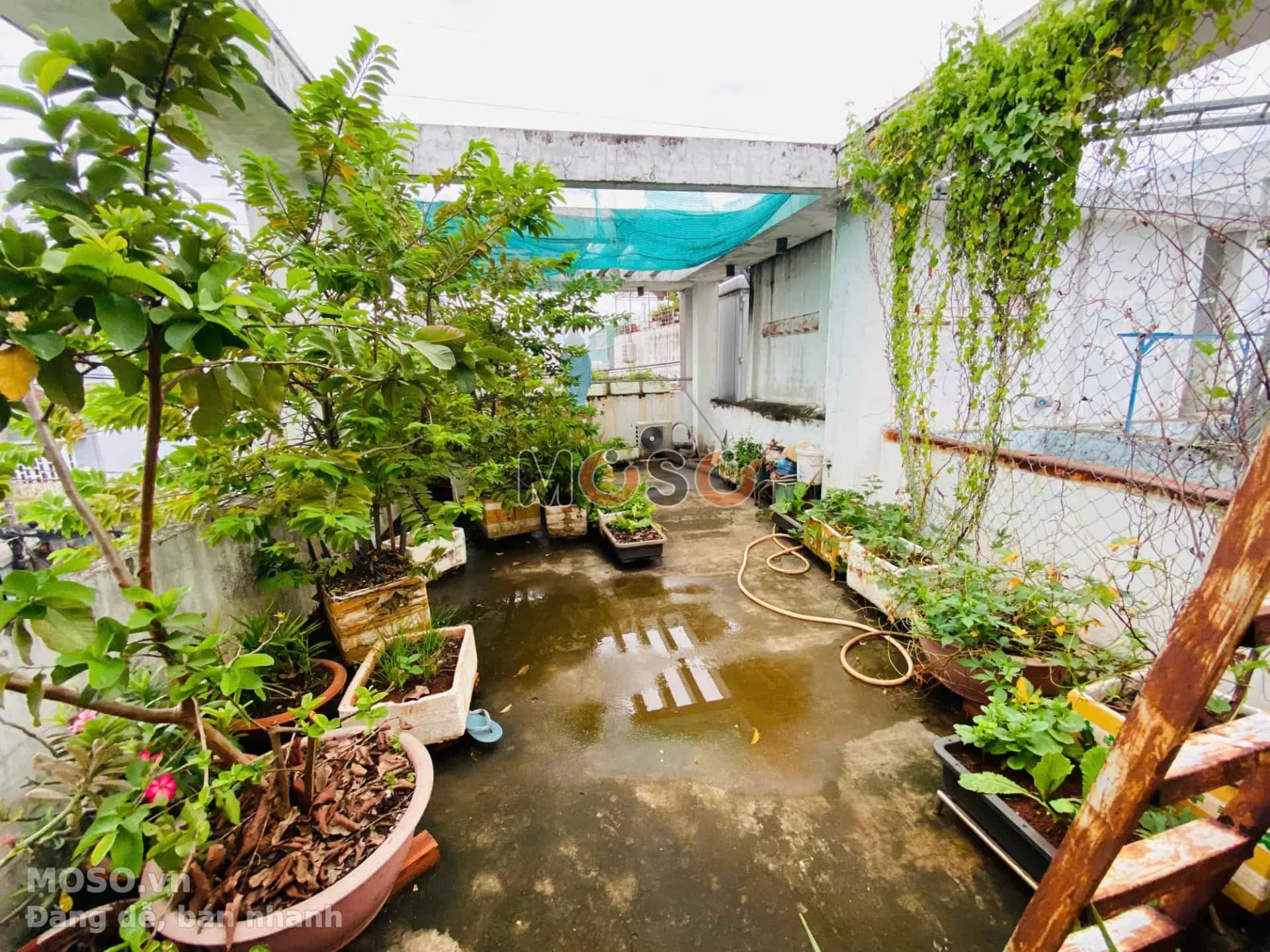 Bán nhà mặt tiền Đường Trần Thị Điệu  Quận 9, TP.HCM – 4 phòng ngủ, giá 10.3 tỷ - ảnh 9
