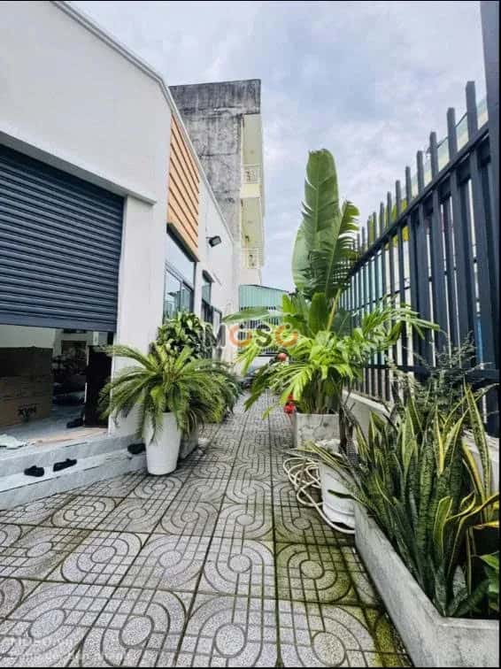 Bán nhà hẻm 71/3A Đường Lê Tấn Bê Quận Bình Tân, TP.HCM – 1 phòng ngủ, giá 5.1 tỷ - ảnh 1