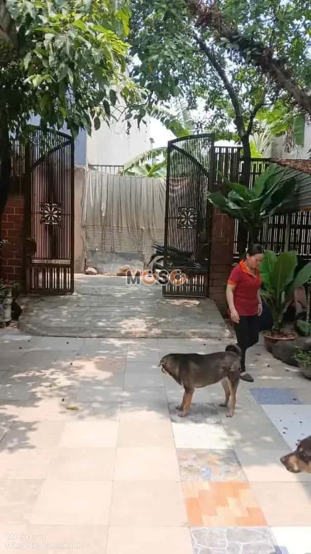 Bán nhà hẻm 16/23/18 đường số 9 Quận Bình Tân, TP.HCM – 1 phòng ngủ, giá 10.5 tỷ - ảnh 4