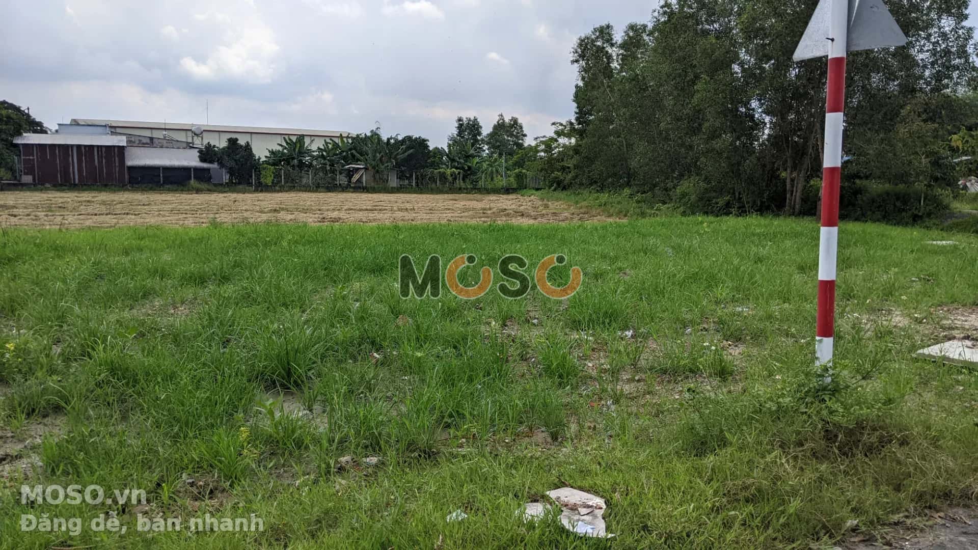 Bán đất Thửa 687 - Tờ 195, Đường Nguyễn Thị Nhia Huyện Củ Chi, TP.HCM – giá 1.7 tỷ - ảnh 4