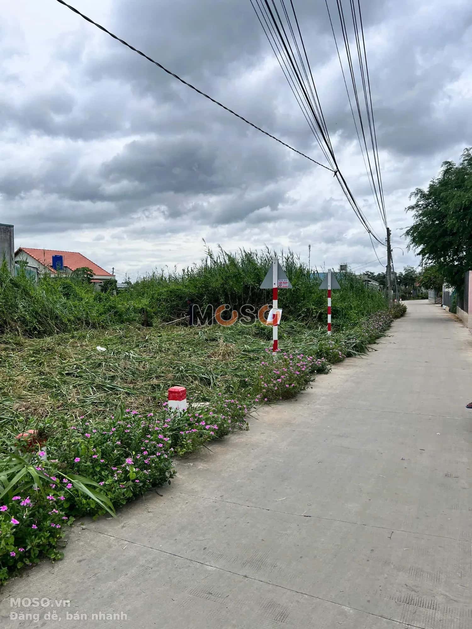 Bán đất Thửa 76 - Tờ 24 Đường Lê Văn Tâm Huyện Tân Trụ, Long An – giá 1.4 tỷ - ảnh 3