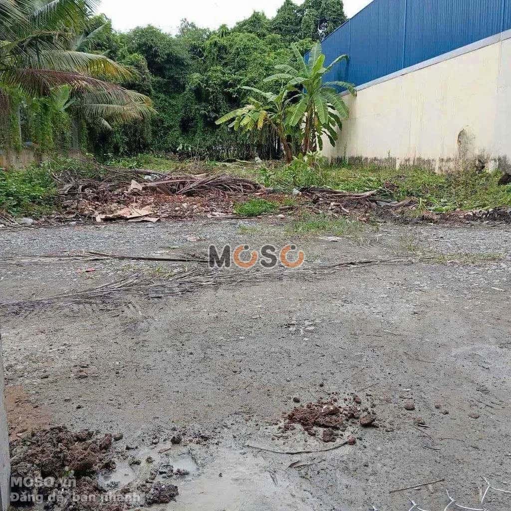 Bán đất Thửa 2062 - tờ 5 Đường Bình Nhâm 23, khu phố Bình Hòa Thành phố Thuận An, Bình Dương – giá 9.7 tỷ - ảnh 1