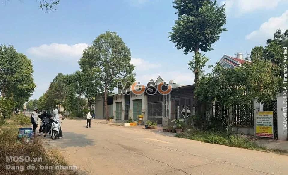 Bán đất Thửa 6686 - tờ 34 đường NJ21 Thành phố Bến Cát, Bình Dương – giá 5.1 tỷ - ảnh 3