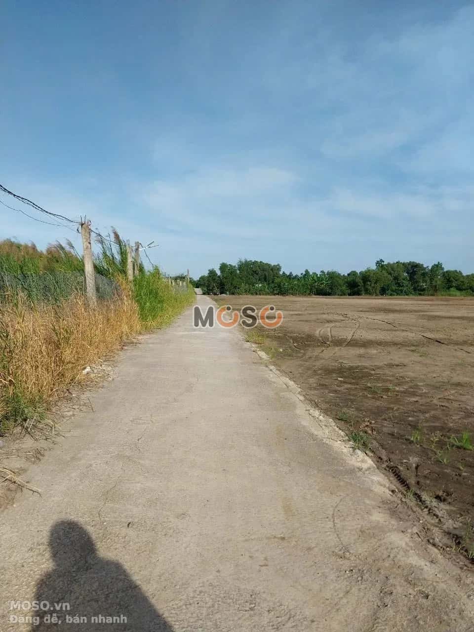 Bán đất Thửa 1029 - Tờ 12 ấp Năm Châu Thành phố Gò Công, Tiền Giang – giá 540 triệu - ảnh 3