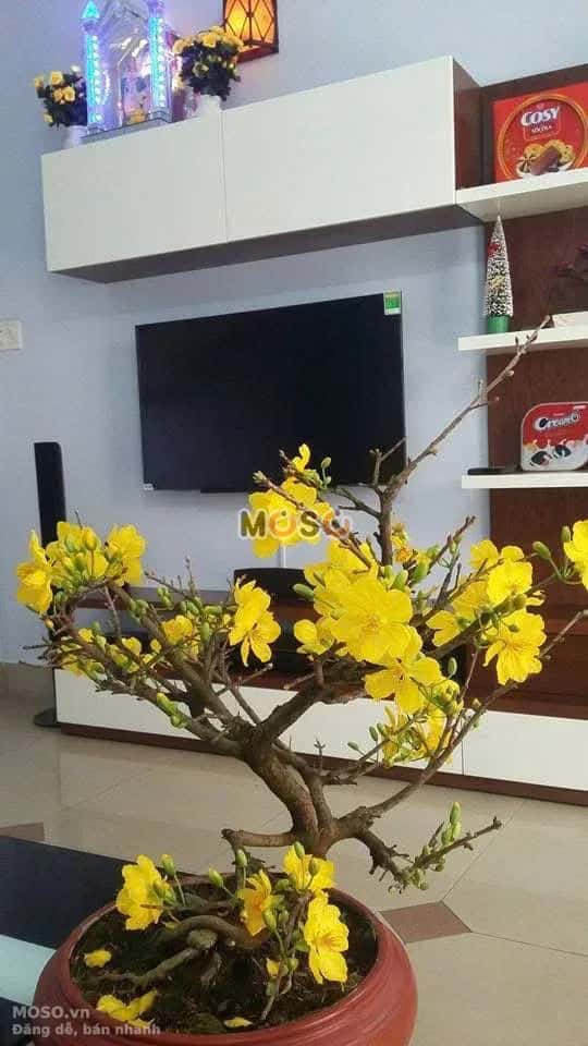 Bán nhà hẻm 993/1/4 Đường Âu Cơ Quận Tân Phú, TP.HCM – 3 phòng ngủ, giá 8.9 tỷ - ảnh 3