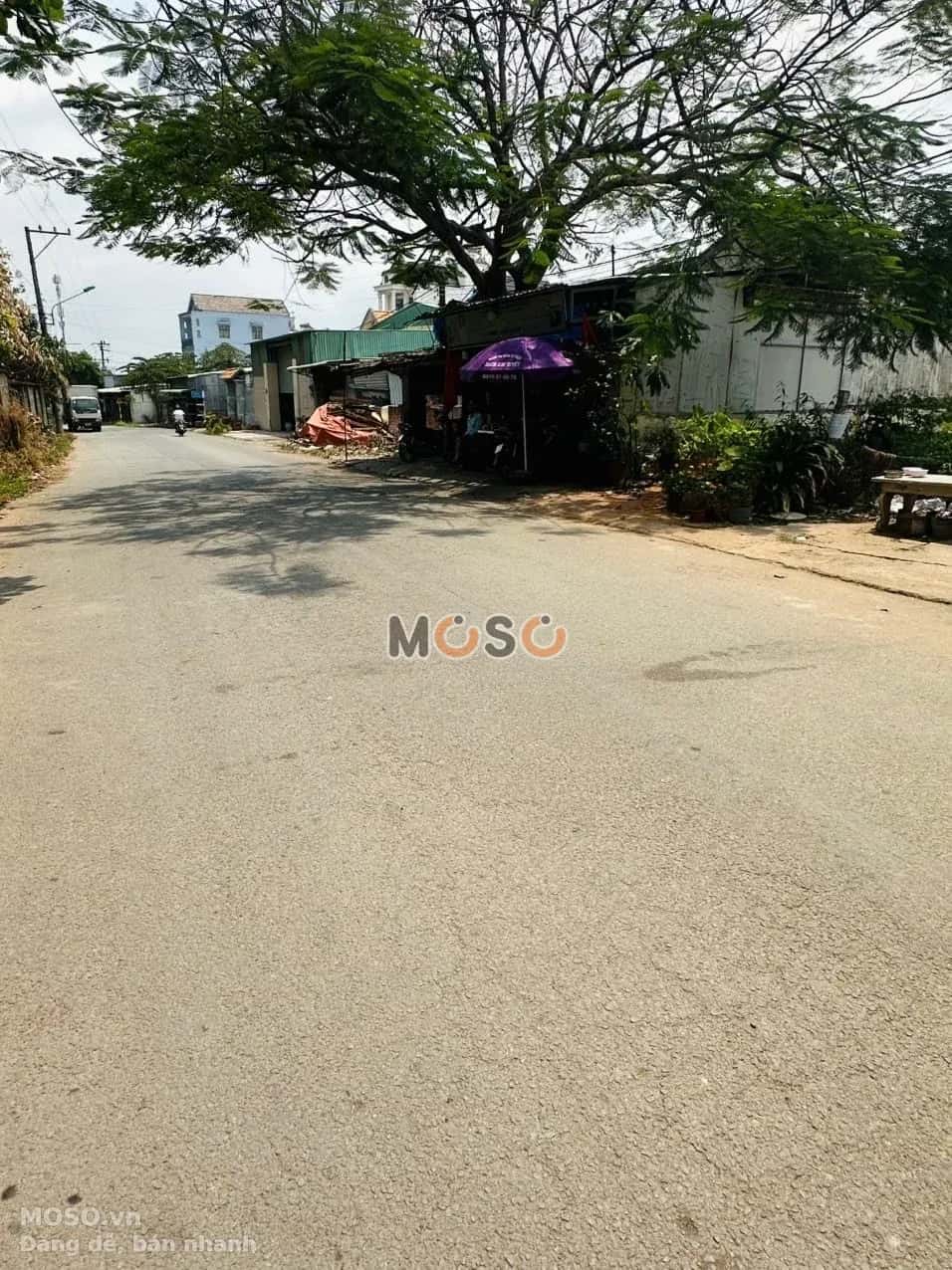 Bán nhà hẻm Thửa 1338 tờ 24, đường Thống Nhất  Thành phố Dĩ An, Bình Dương – 1 phòng ngủ, giá 2.4 tỷ - ảnh 5