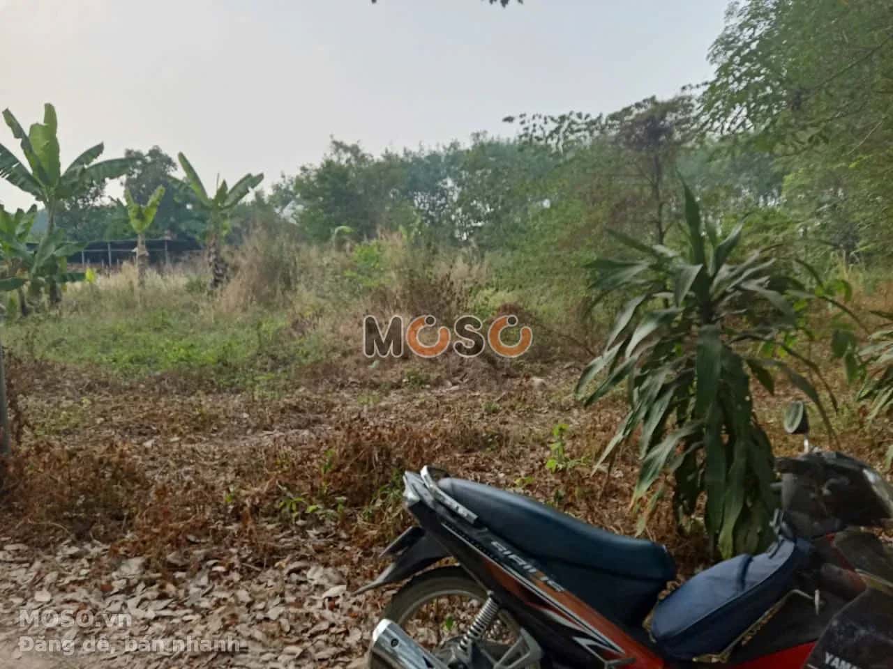Bán đất Thửa 1404 tờ 14, Kp An Bình Thị xã Trảng Bàng, Tây Ninh – giá 1.6 tỷ - ảnh 1