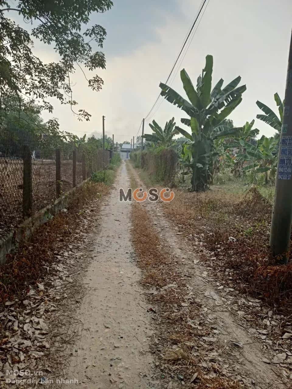 Bán đất Thửa 1404 tờ 14, Kp An Bình Thị xã Trảng Bàng, Tây Ninh – giá 1.6 tỷ - ảnh 4