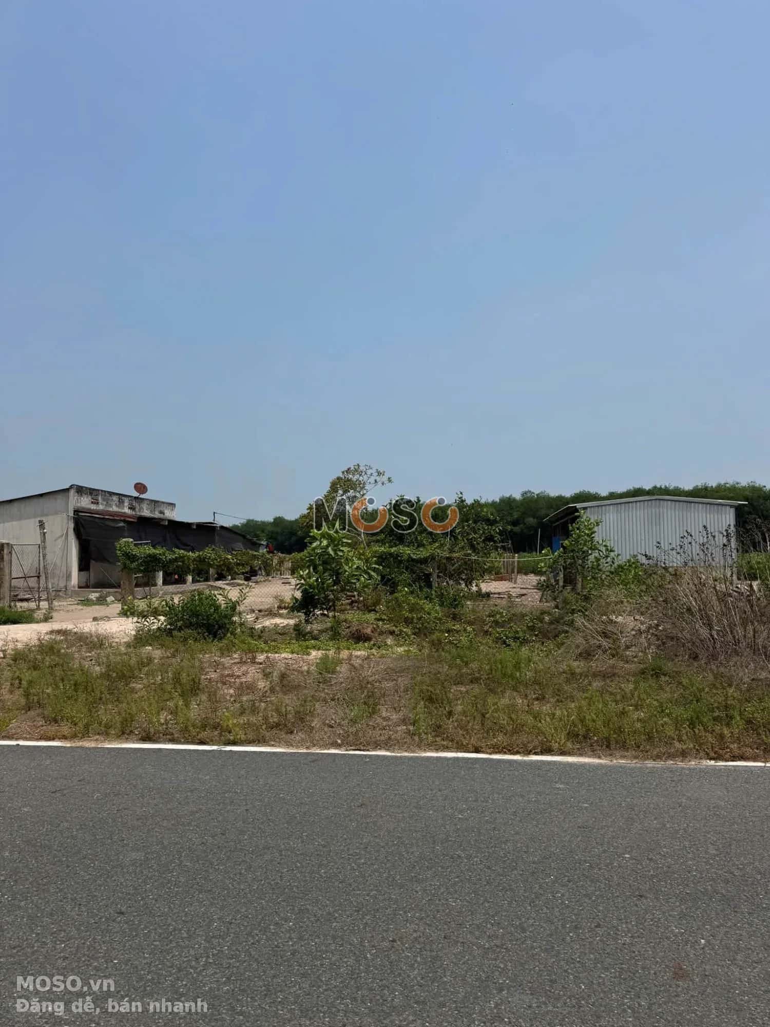 Bán đất Thửa 963 tờ 20, đường số 239 Thị xã Chơn Thành, Bình Phước – giá 599 triệu - ảnh 1