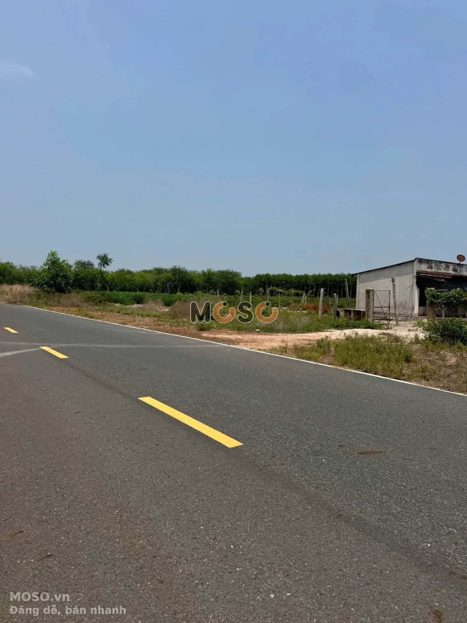 Bán đất Thửa 963 tờ 20, đường số 239 Thị xã Chơn Thành, Bình Phước – giá 599 triệu - ảnh 3