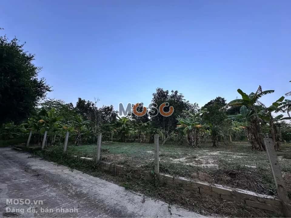 Bán đất Thôn Thái Lai Huyện Hòa Vang, TP. Đà Nẵng – giá 4.2 tỷ - ảnh 2