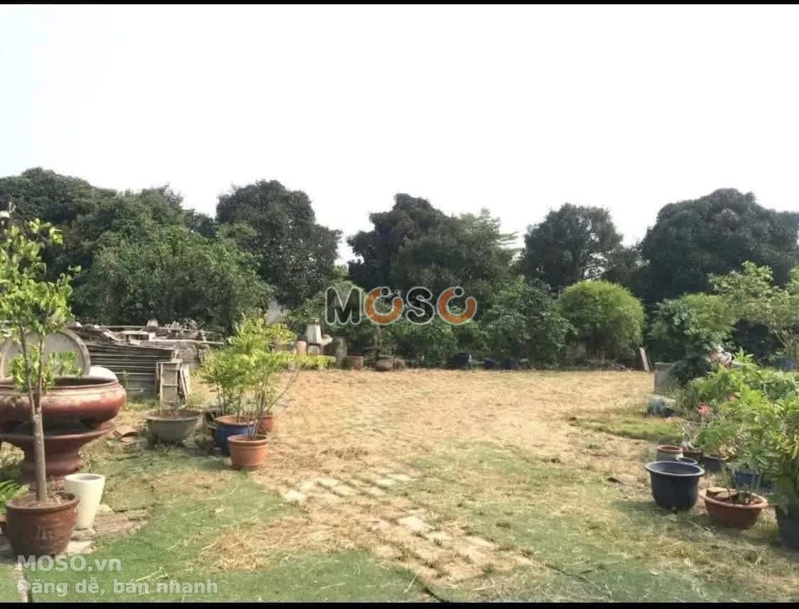 Bán đất Bùi Quốc Khánh  Thành phố Thủ Dầu Một, Bình Dương – giá 12 tỷ - ảnh 1