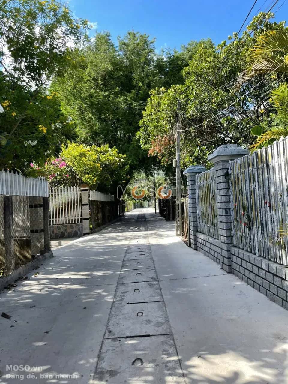Bán đất hẻm đường Tỉnh Lộ 2, Thôn Thanh Minh 3 Huyện Diên Khánh, Khánh Hòa – giá 830 triệu - ảnh 5