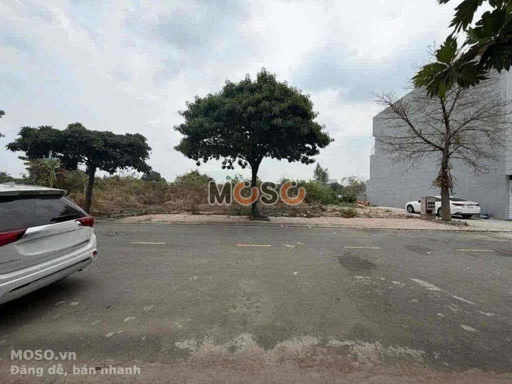 Bán đất đường D1 Thành phố Dĩ An, Bình Dương – giá 3.8 tỷ - ảnh 1