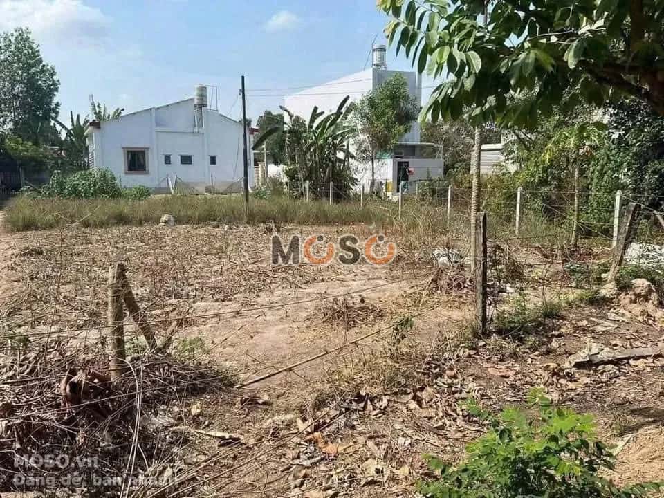 Bán đất Đường Mai Thị Buội Huyện Củ Chi, TP.HCM – giá 2.7 tỷ - ảnh 2