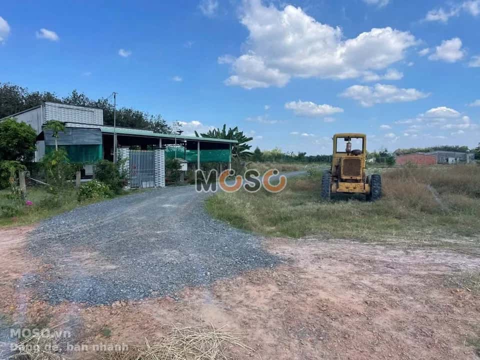 Bán đất Ấp Xóm Bố  Huyện Gò Dầu, Tây Ninh – giá 1.7 tỷ - ảnh 3