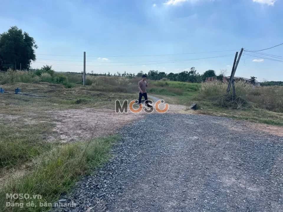 Bán đất Ấp Xóm Bố  Huyện Gò Dầu, Tây Ninh – giá 1.7 tỷ - ảnh 1