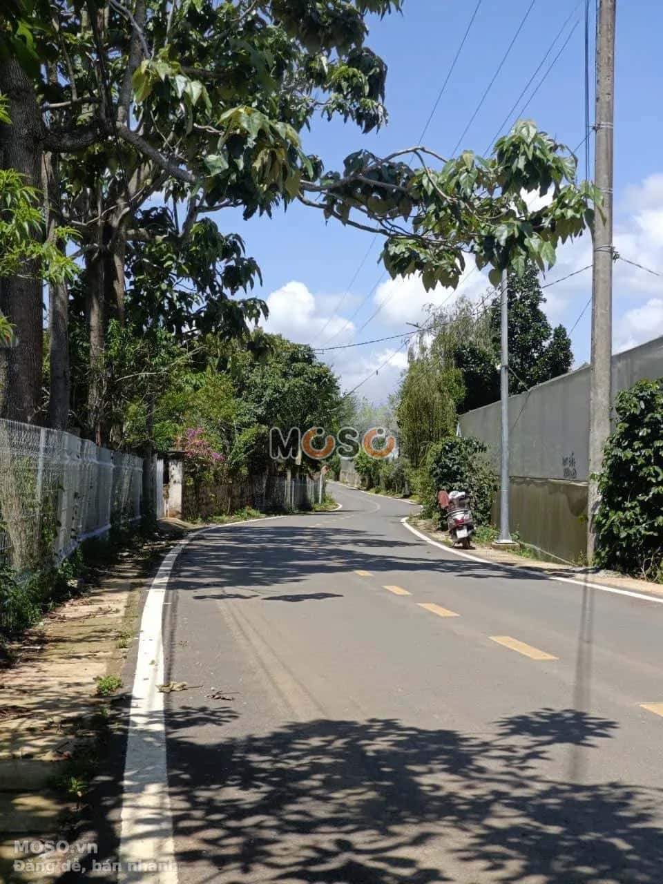 Bán đất đường Măng Lin Thành phố Đà Lạt, Lâm Đồng – giá 5.8 tỷ - ảnh 4