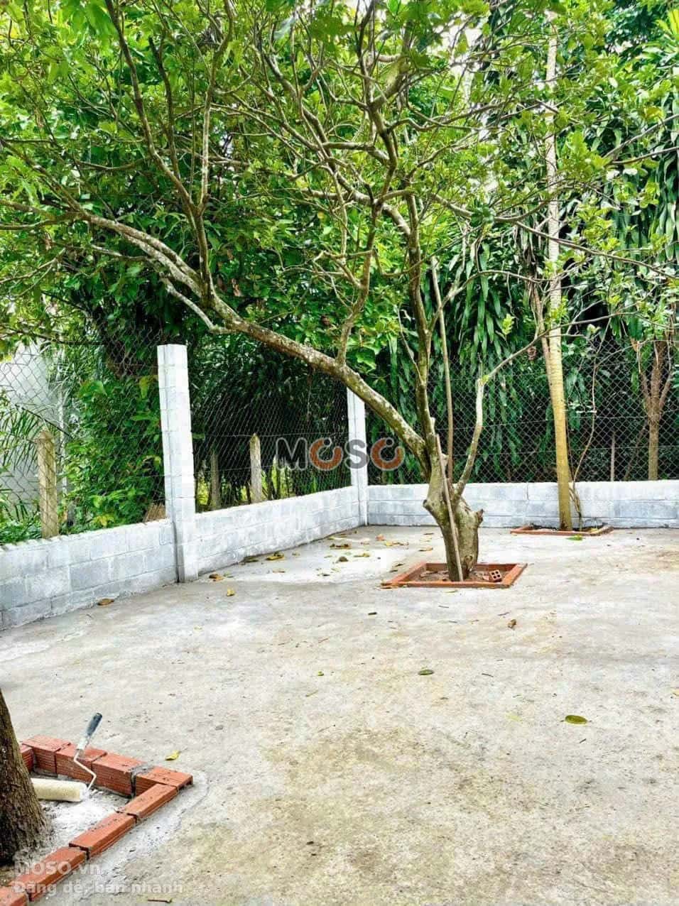 Bán nhà hẻm Nguyễn Thị Nê Huyện Củ Chi, TP.HCM – 3 phòng ngủ, giá 1.6 tỷ - ảnh 6
