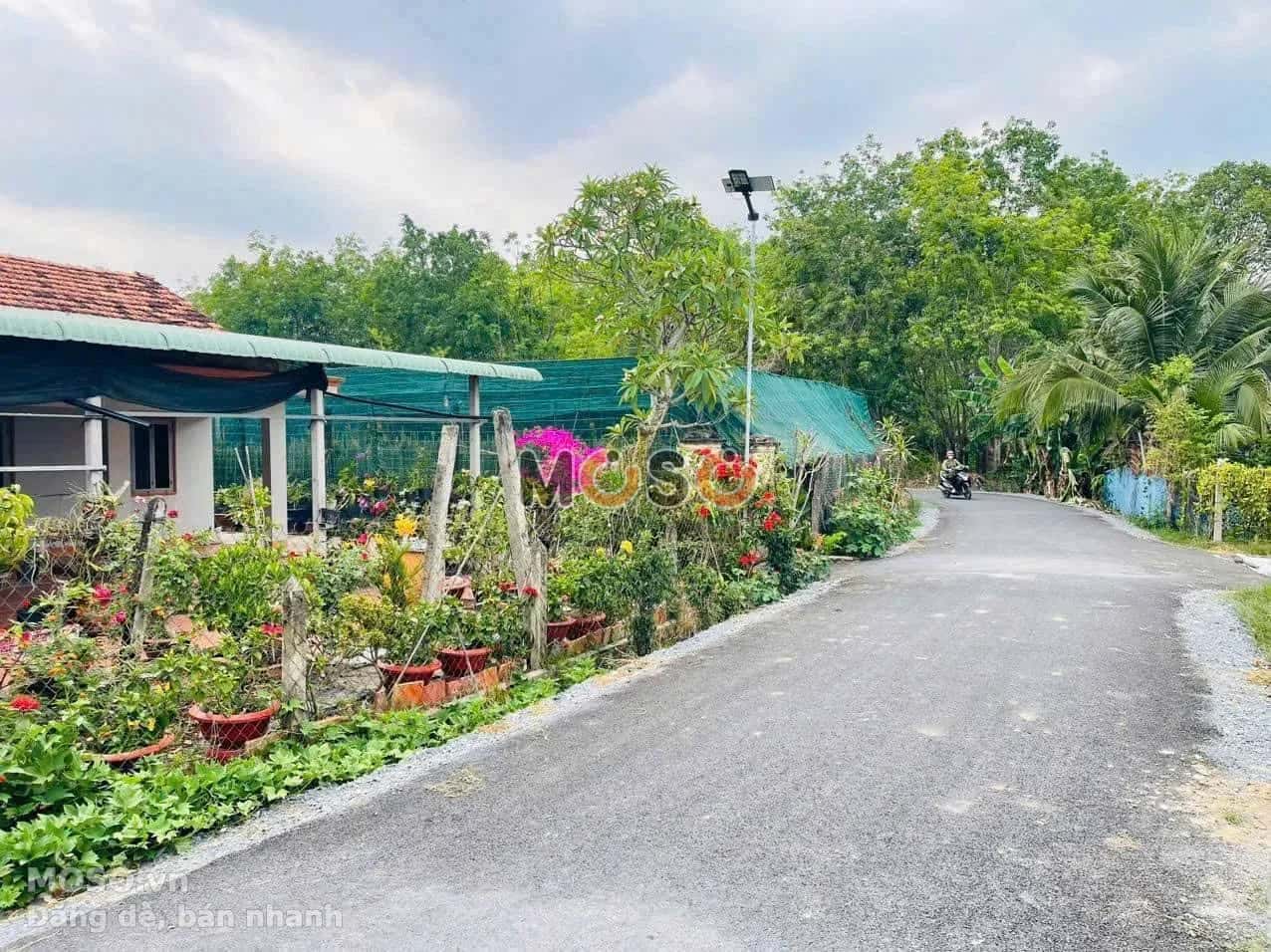 Bán nhà hẻm Trương Thị Kiện Huyện Củ Chi, TP.HCM – 2 phòng ngủ, giá 1.9 tỷ - ảnh 3