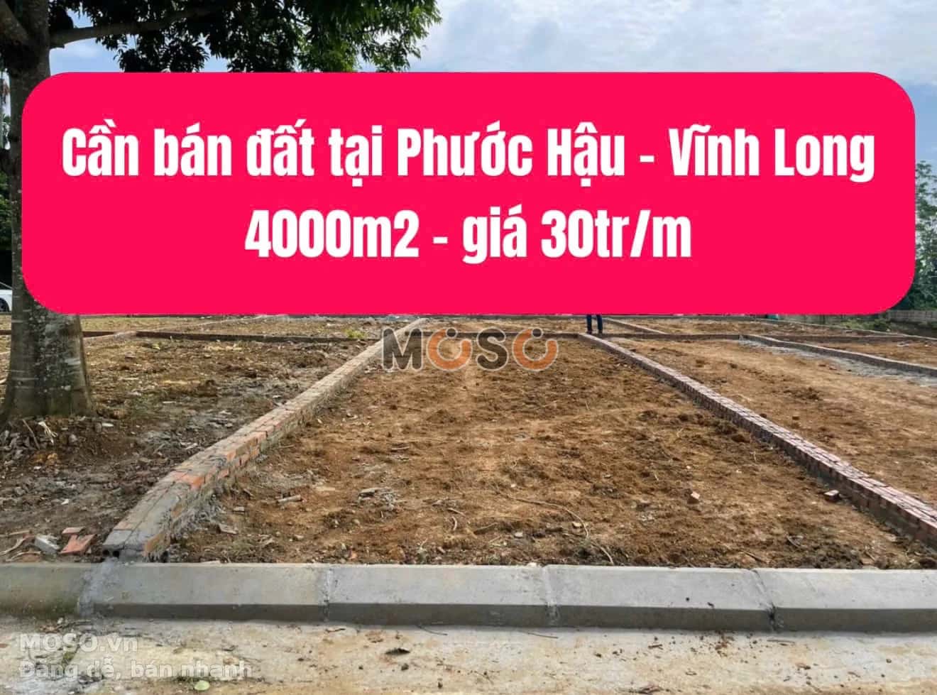 Bán đất phước hậu Huyện Long Hồ, Vĩnh Long – giá 120 tỷ - ảnh 1