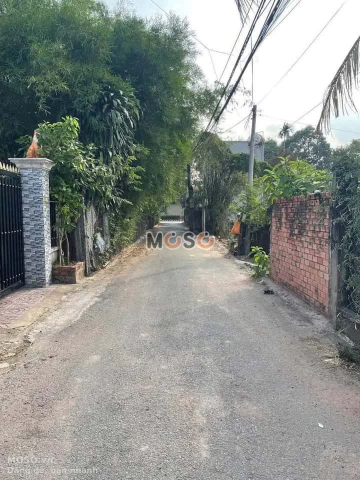 Bán đất hẻm 954 đường Nguyễn Chí Thanh  Thành phố Thủ Dầu Một, Bình Dương – giá 1.7 tỷ - ảnh 3