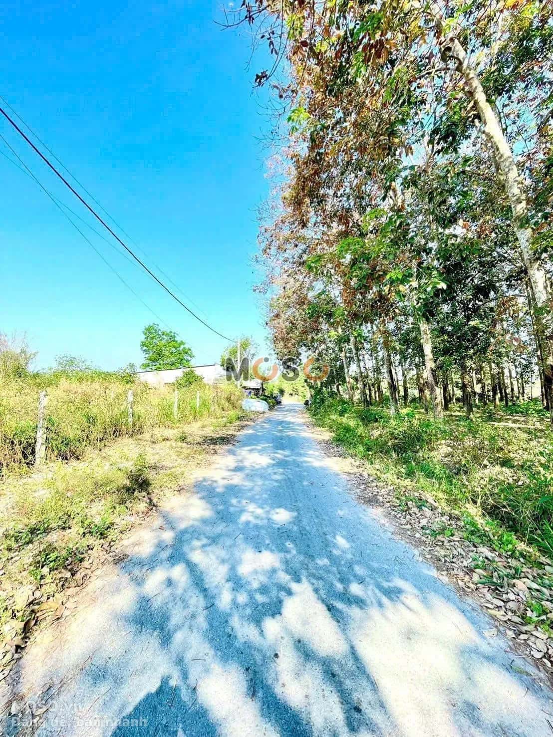 Bán đất Nguyễn Thị Rành Huyện Củ Chi, TP.HCM – giá 3.5 tỷ - ảnh 4