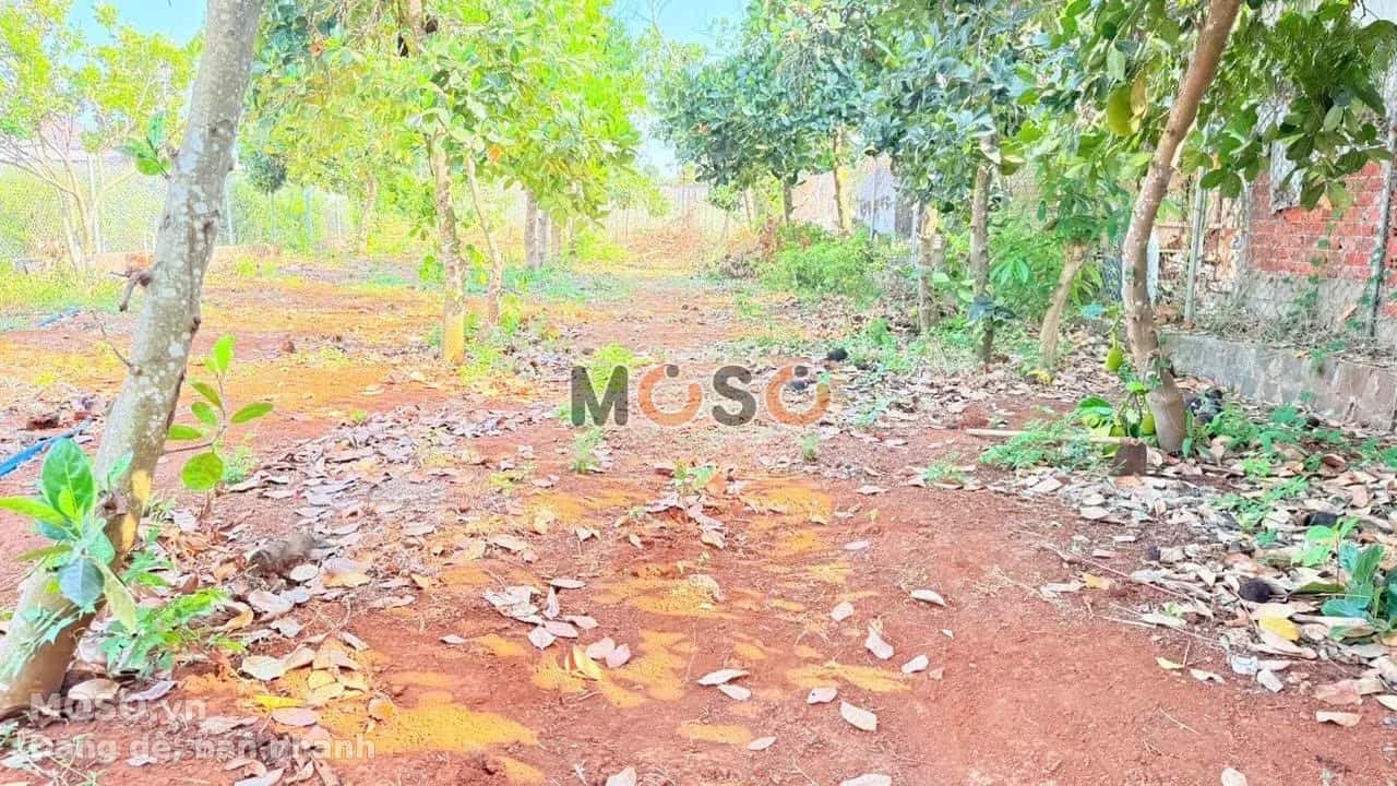 Bán đất Phan Đình Phùng  Huyện Long Đất, BRVT – giá 3 tỷ - ảnh 2