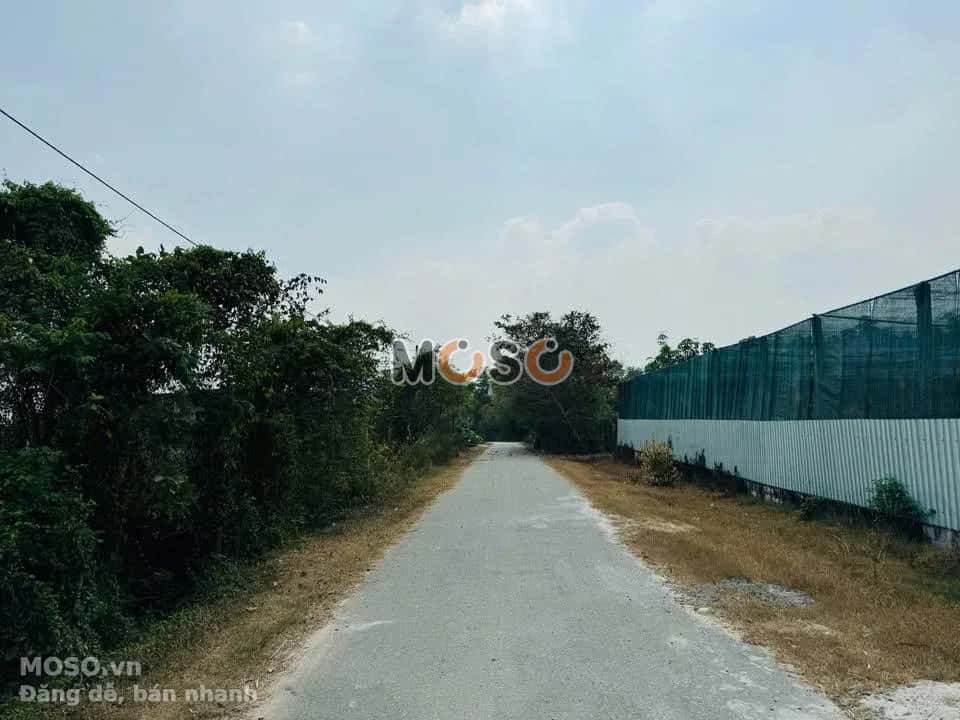 Bán đất Tỉnh Lộ 7 Huyện Củ Chi, TP.HCM – giá 4 tỷ - ảnh 4
