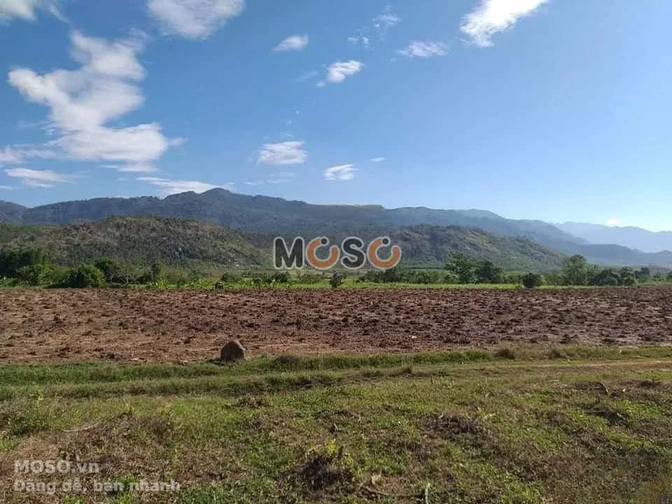 Bán đất Thôn Xóm Mới  Thị xã Ninh Hòa, Khánh Hòa – giá 1 tỷ - ảnh 1