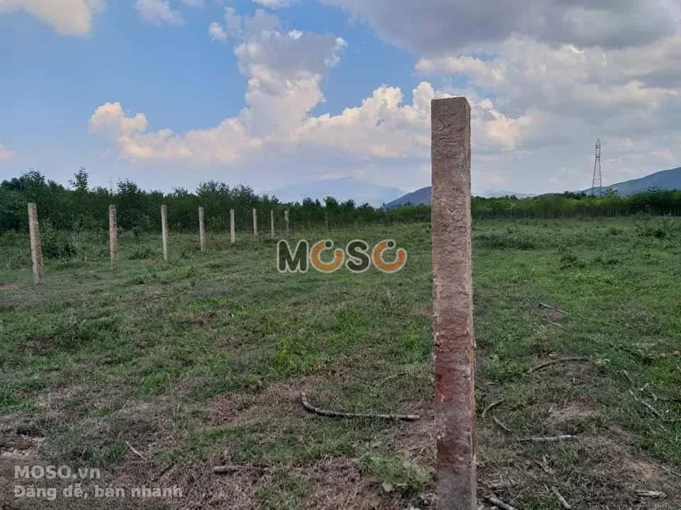 Bán đất Thôn Xóm Mới  Thị xã Ninh Hòa, Khánh Hòa – giá 1 tỷ - ảnh 3