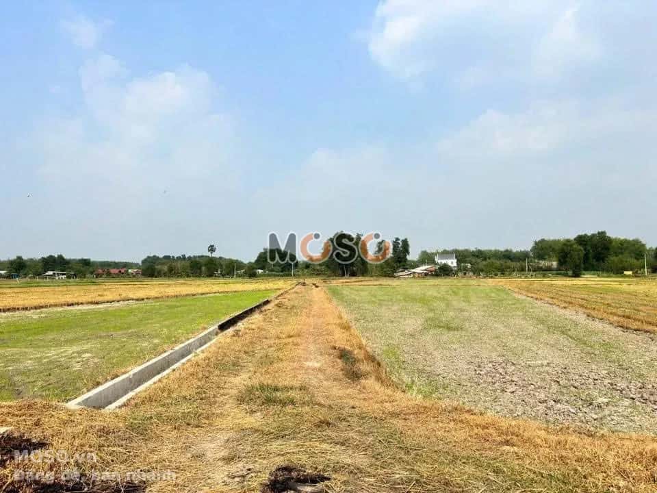 Bán đất Gốc Rưng Huyện Củ Chi, TP.HCM – giá 680 triệu - ảnh 2