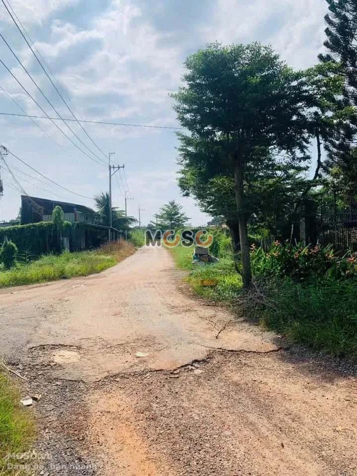 Bán đất Nguyễn Thị Bi Huyện Củ Chi, TP.HCM – giá 2.1 tỷ - ảnh 3