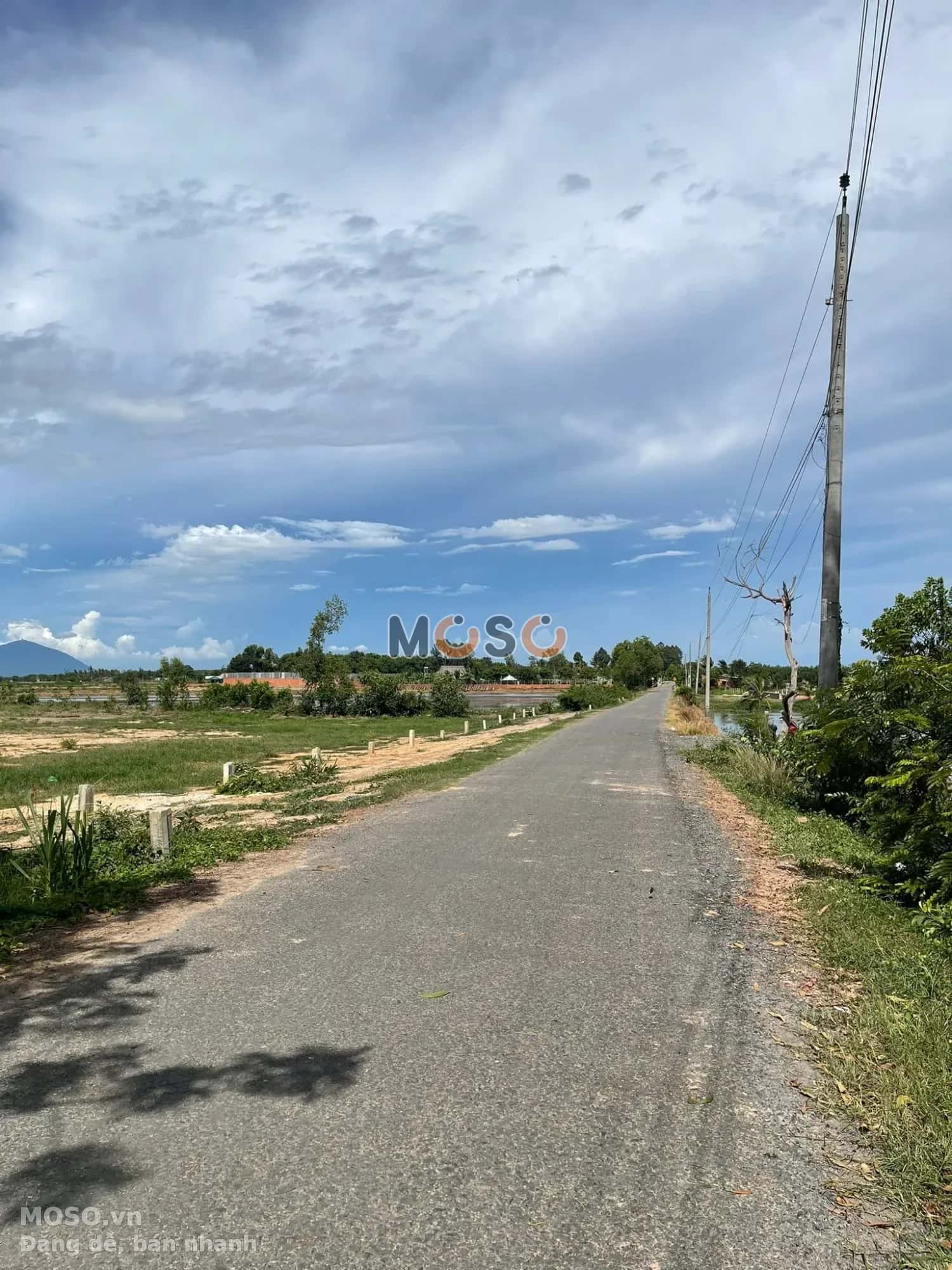 Bán đất Ấp Trường Huyện Châu Thành, Tây Ninh – giá 290 triệu - ảnh 3