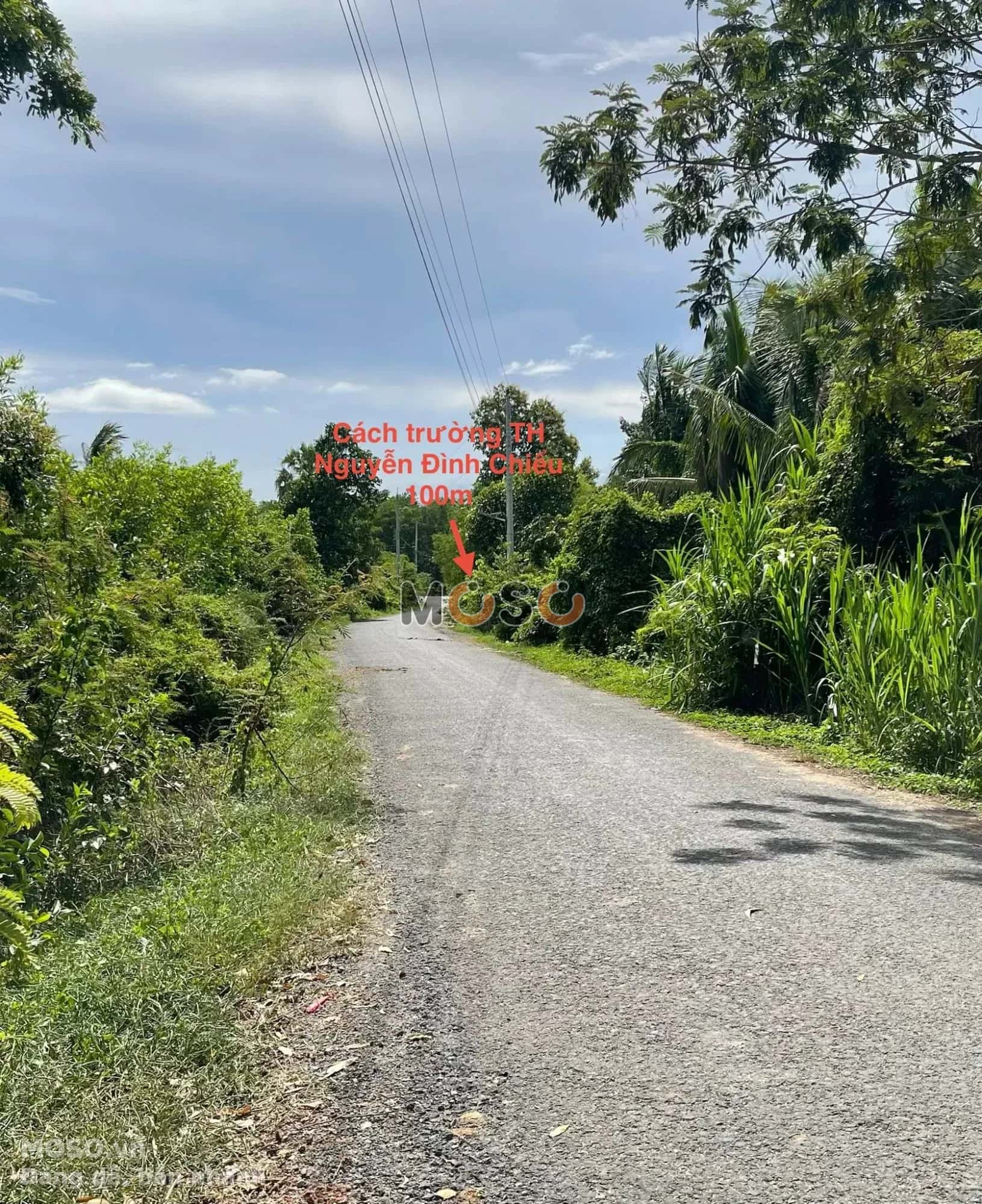 Bán đất Ấp Trường Huyện Châu Thành, Tây Ninh – giá 290 triệu - ảnh 2