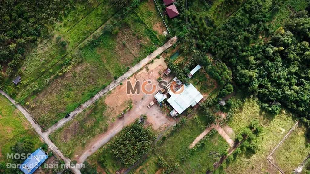 Bán đất Đường Nguyễn Trung Trực Thành phố Phú Quốc, An Giang – giá 3.9 tỷ - ảnh 4